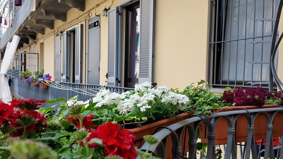 Al Piperita Turin Exterior photo